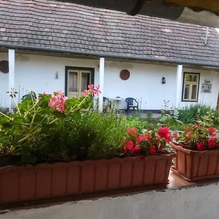 Terez Haza Hotel Pazmand Екстериор снимка